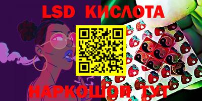 прущие крисы Краснознаменск