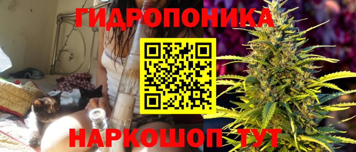 Камень-на-Оби  Конопля гибрид  Вход с VPN  Канабис White Widow  Бошки Шишки конопля  Каннабис марихуана 